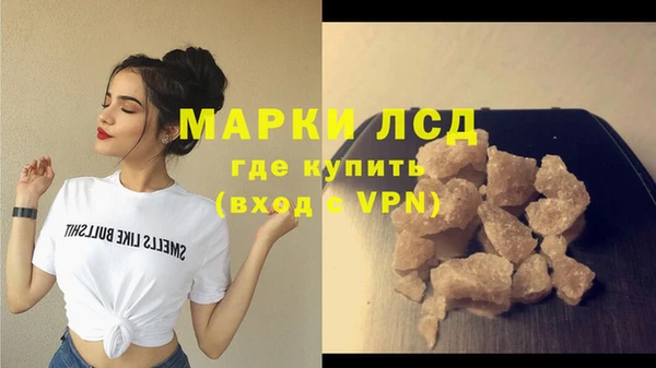 сатива Алзамай