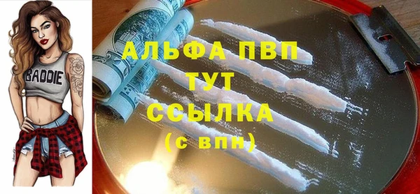 сатива Алзамай