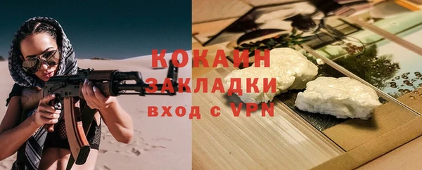 сатива Алзамай